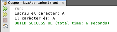 Sortida Netbeans