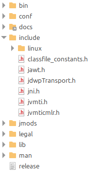 Estructura fitxers projecte Java